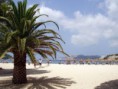 MAR MENOR 55+